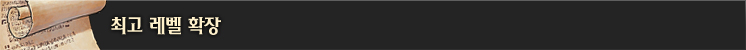 최고 레벨 확장